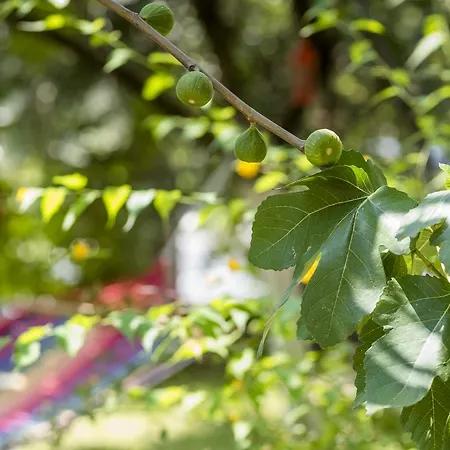 Апартаменты View